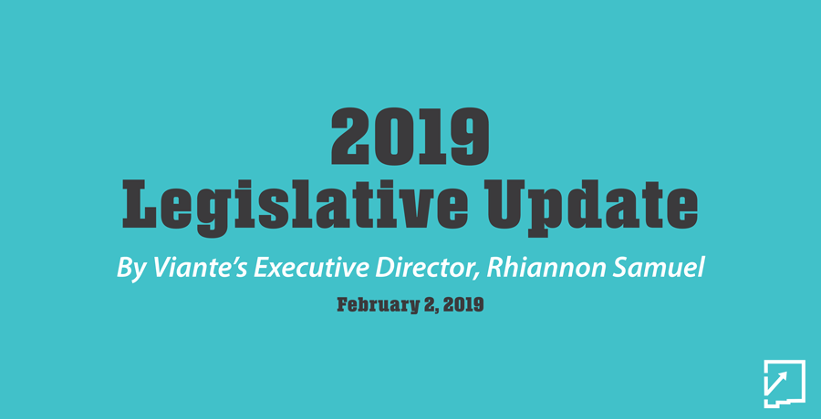 2019 Legislative Update – How the Session Is Turning Out Thus Far