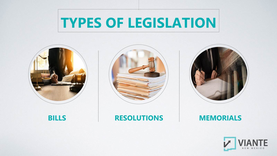 Types of Legislation Viante New Mexico